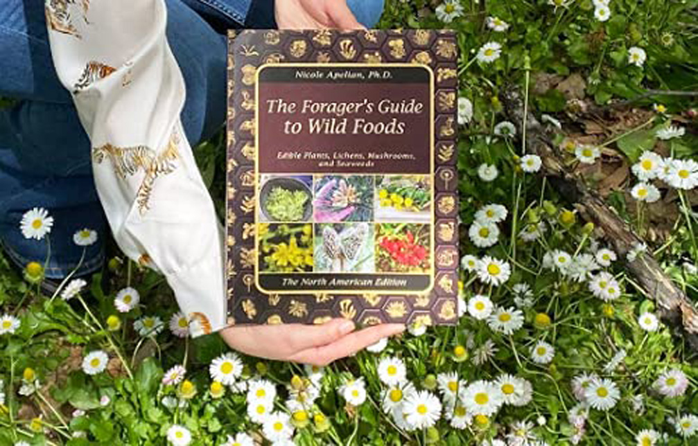 Forager's Guide To Wild Foods